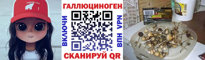 Псилоцибиновые грибы Cubensis Спас-Клепики