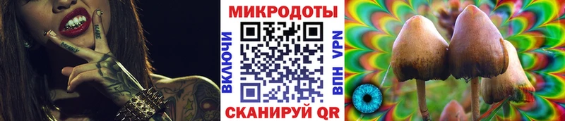 Купить закладки  Спас-Клепики  Псилоцибиновые грибы MAGIC MUSHROOMS 